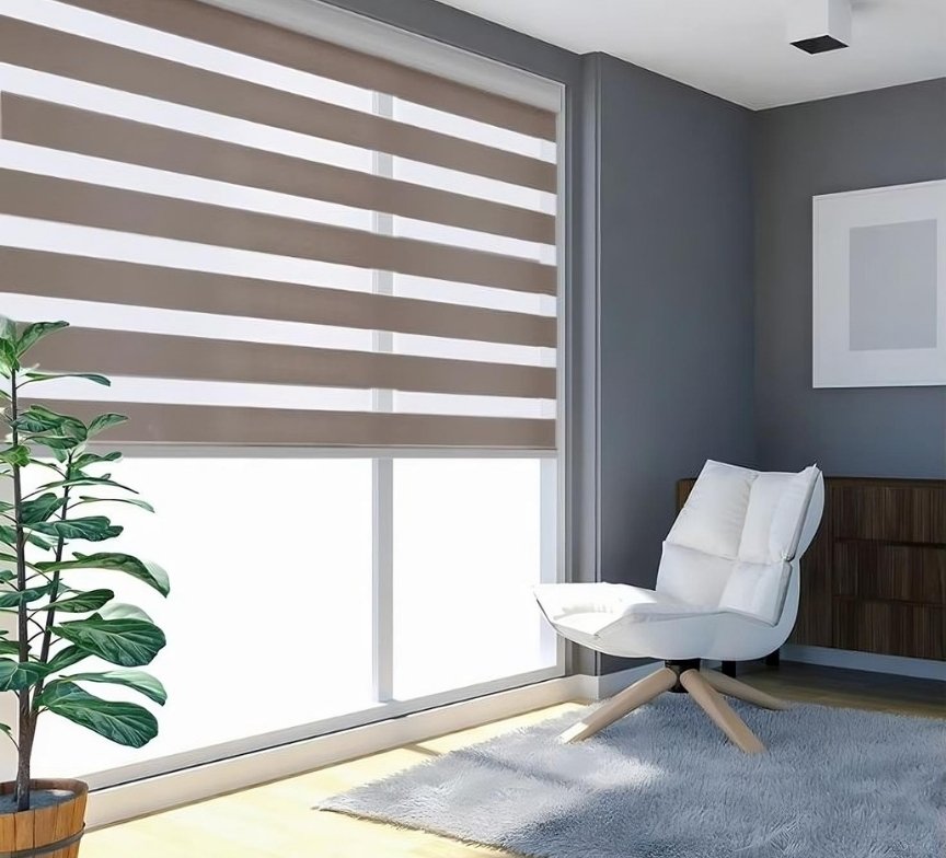 Zebra Blinds